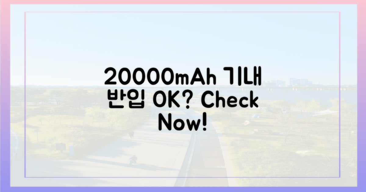20000mAh, 기내 반입 가능할까?