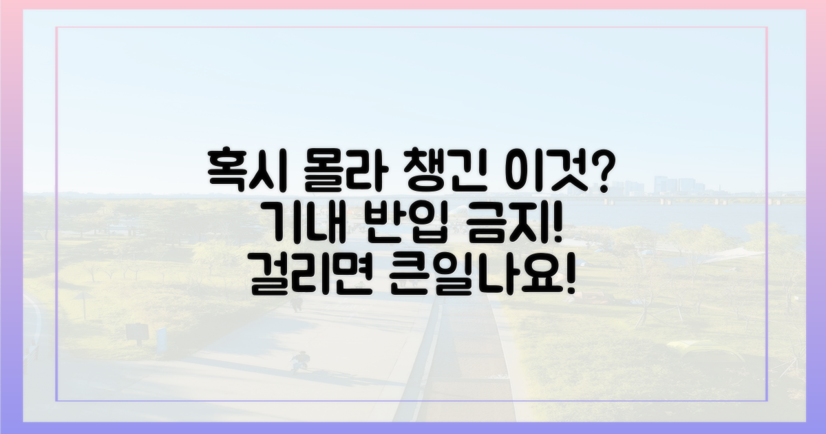 혹시 몰라 챙겼는데, 문제가 될까?