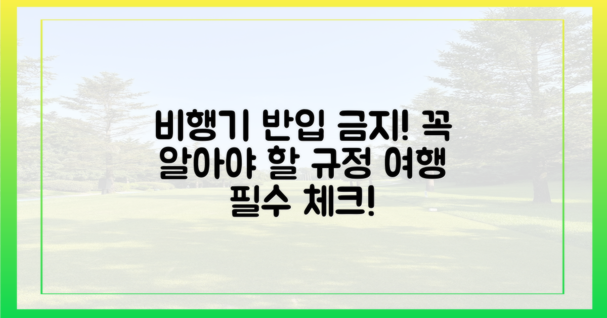 비행기 반입 규정, 꼭 알아두세요