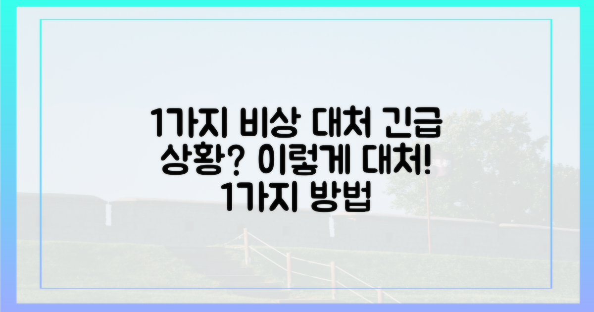 1가지 비상 대처