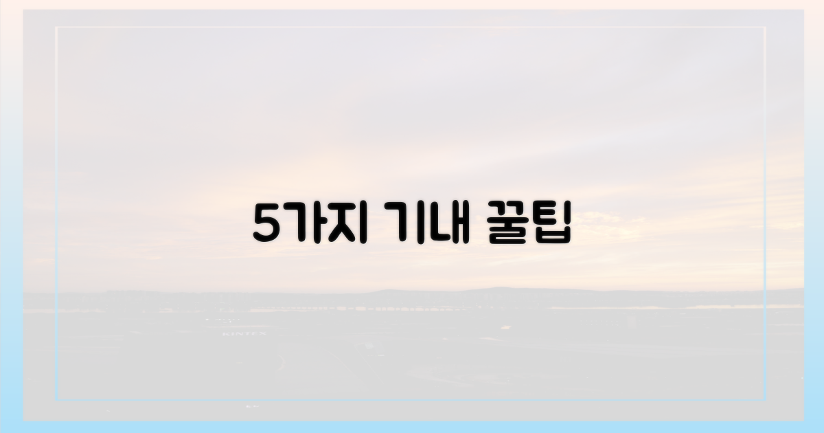 5가지 기내 반입 팁