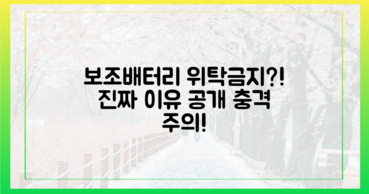 보조배터리 위탁 금지, 왜?