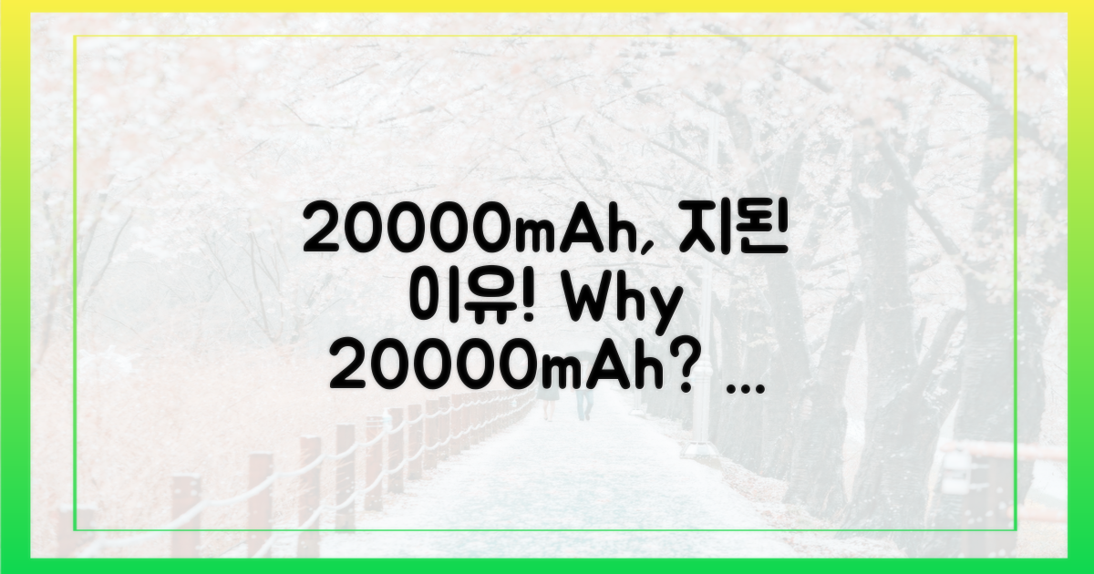20000mAh, 위탁금지 이유