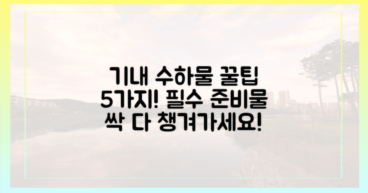 5가지 비행기 반입 팁