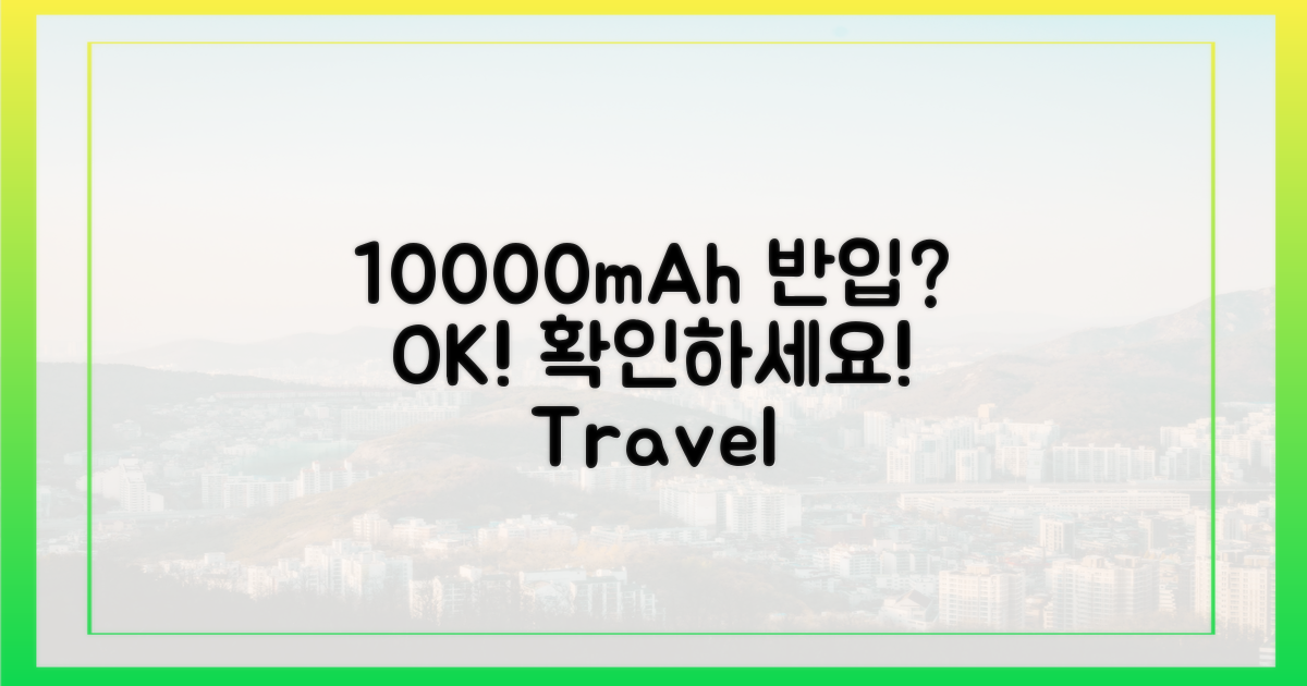 10000mAh 반입, 확인하세요