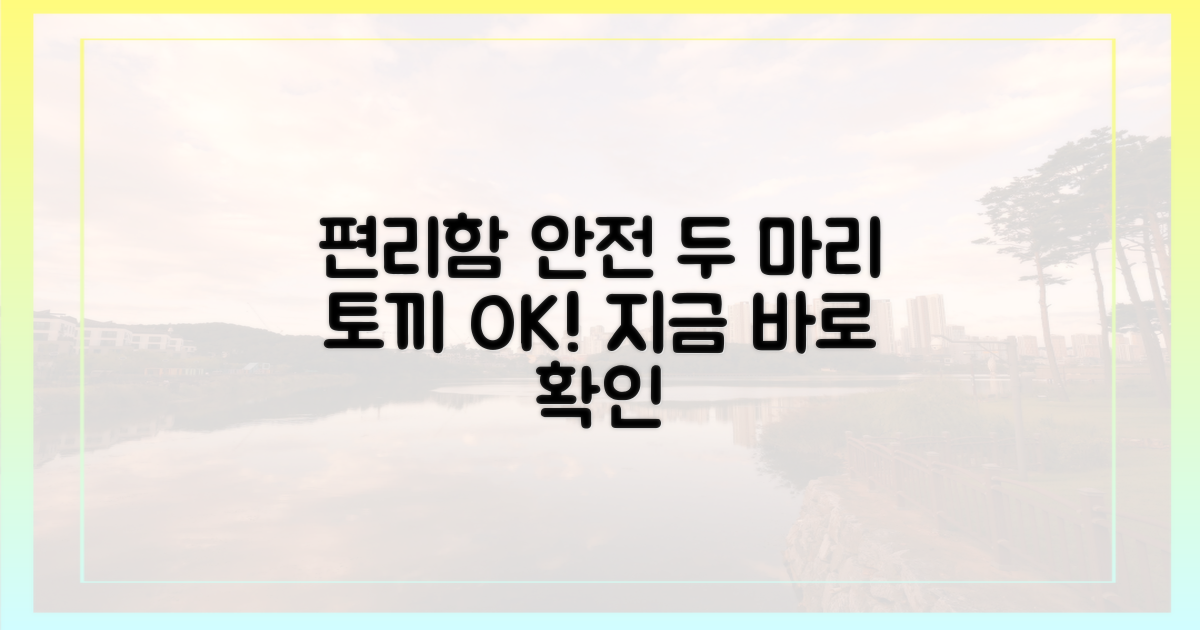 편리함과 안전, 두 마리 토끼