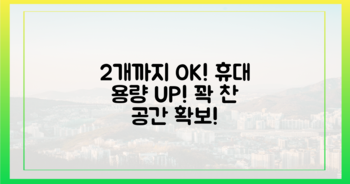 2개까지 허용되는 휴대 용량