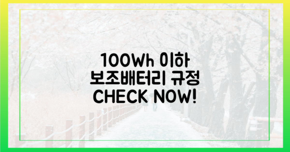 100Wh 이하 보조배터리 반입 기준