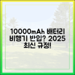 2025년 최신 규정! 10000mAh 보조배터리, 비행기 반입 총정리