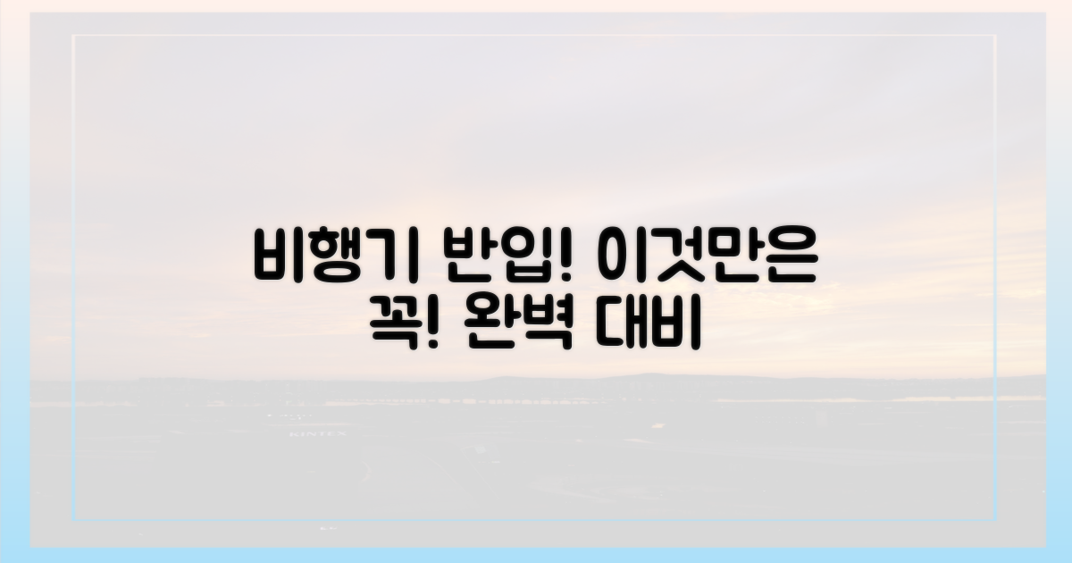 비행기 반입, 완벽 대비!