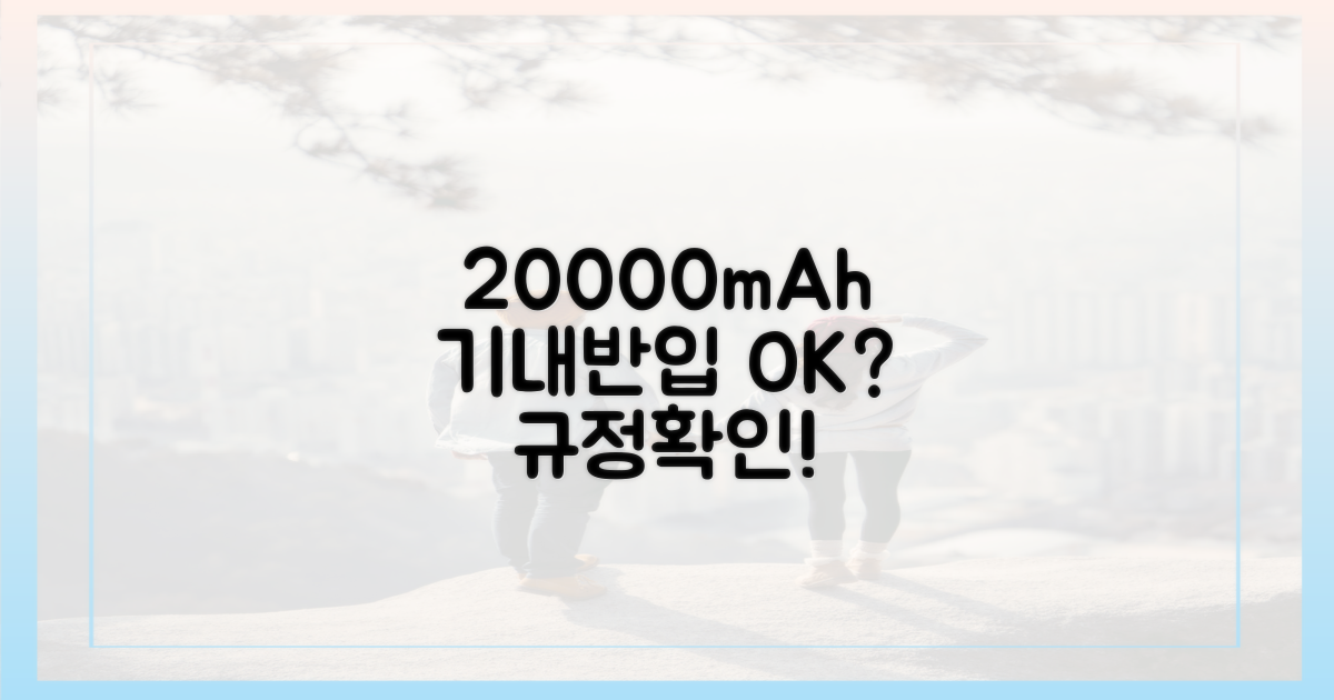 20000mAh, 기내반입 규정 맞을까?