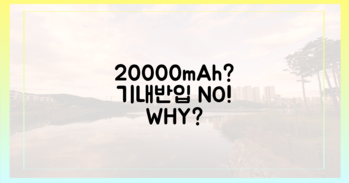 20000mAh, 기내반입 제한 이유 뭘까?