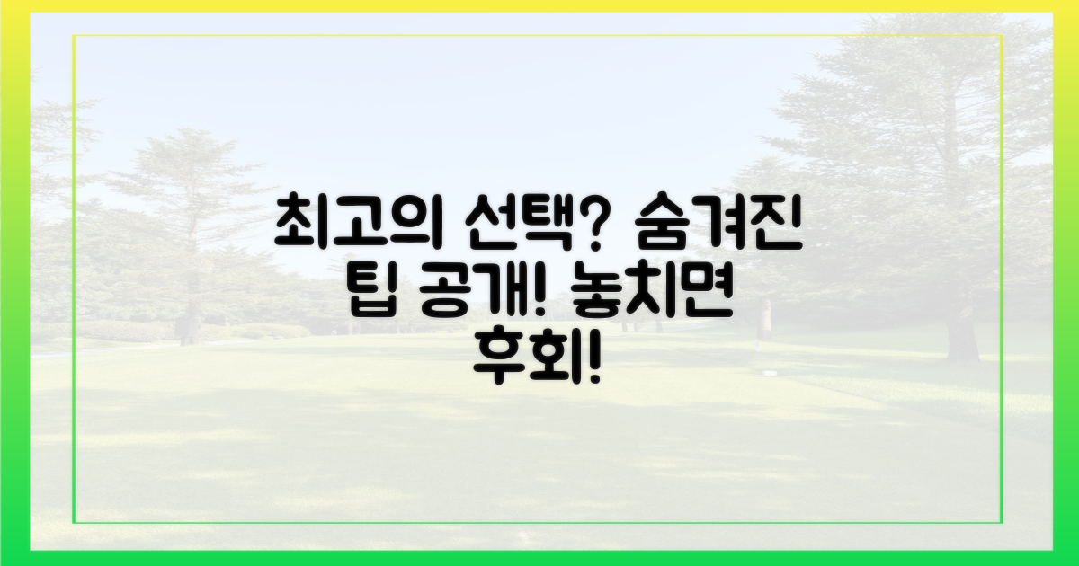 최고의 선택은? 숨겨진 팁 공개!
