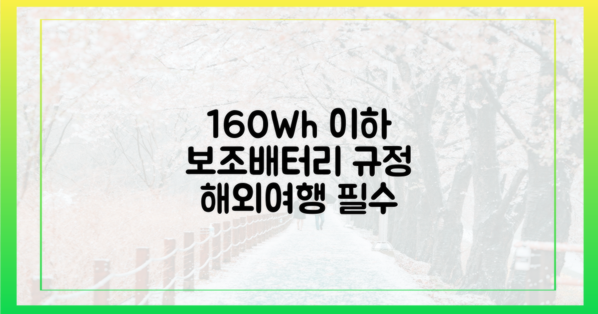 160Wh 이하 보조배터리 규정