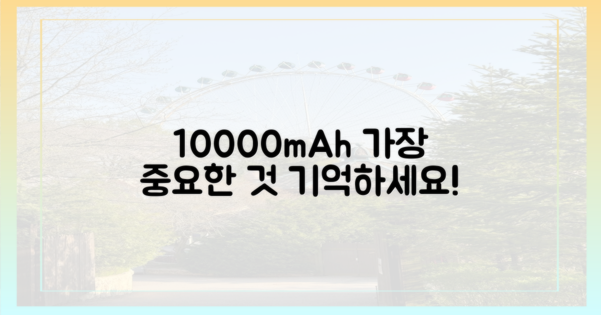 10000mAh, 이것만 기억하세요
