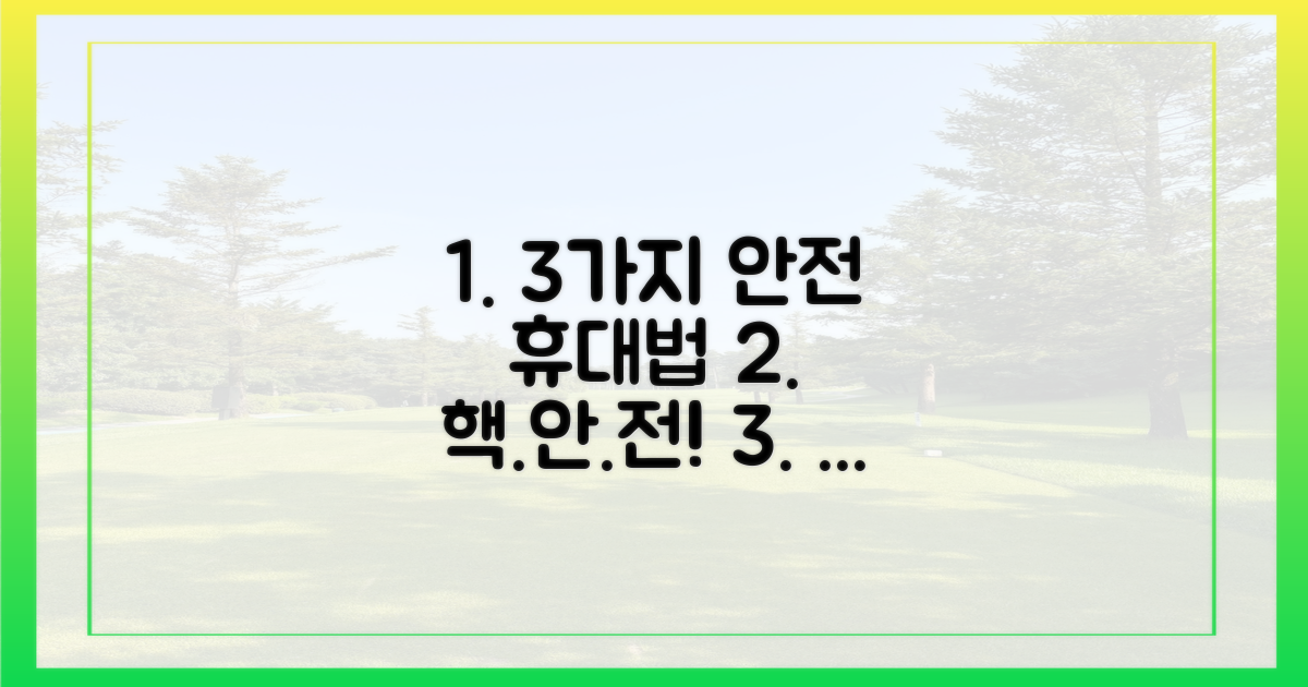 3가지 안전한 휴대법