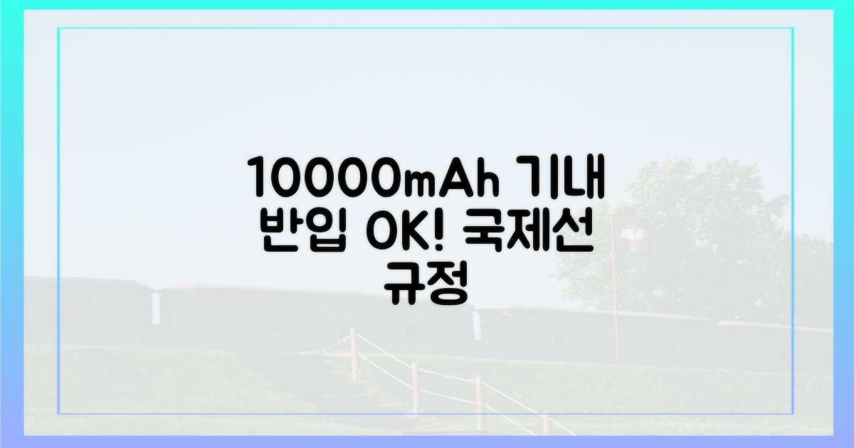 10000mAh, 국제선 규정