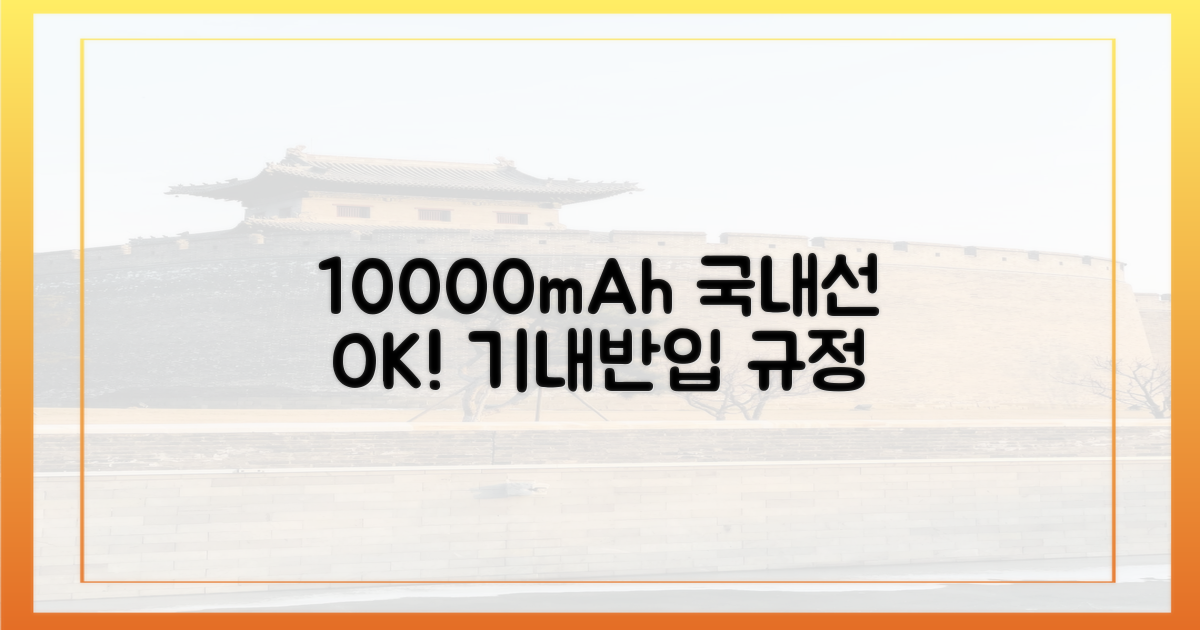 10000mAh, 국내선 규정