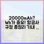 20000mAh 숫자보다 중요한 Wh(와트시), 항공사별 기내 반입 규정 총정리