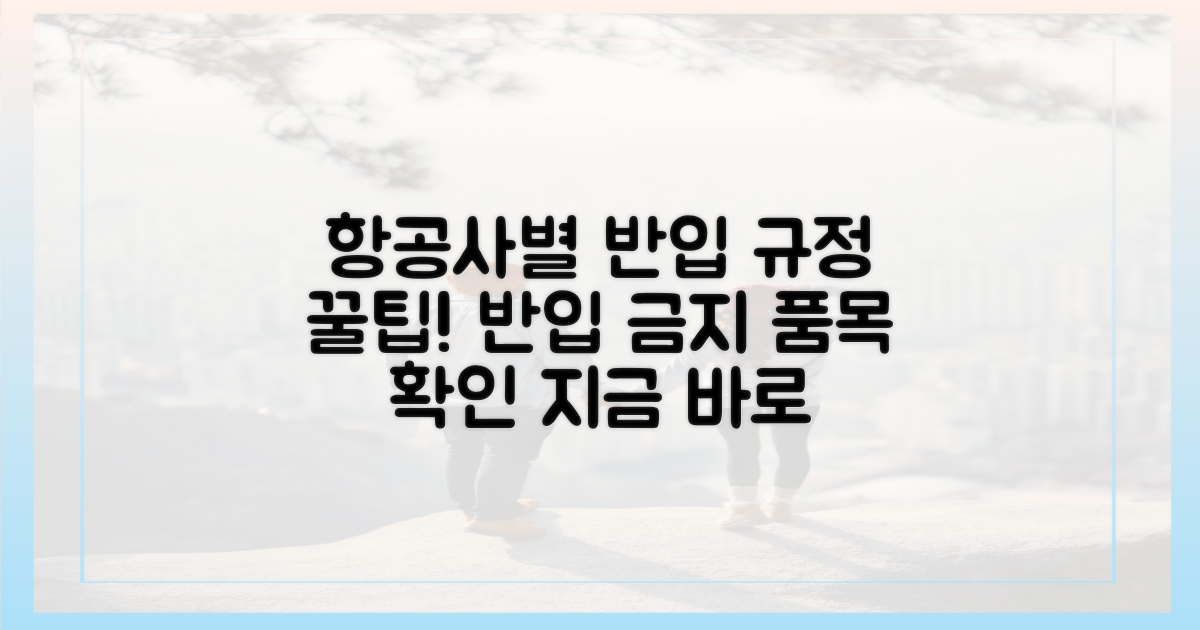 항공사별 반입법을 알아보세요