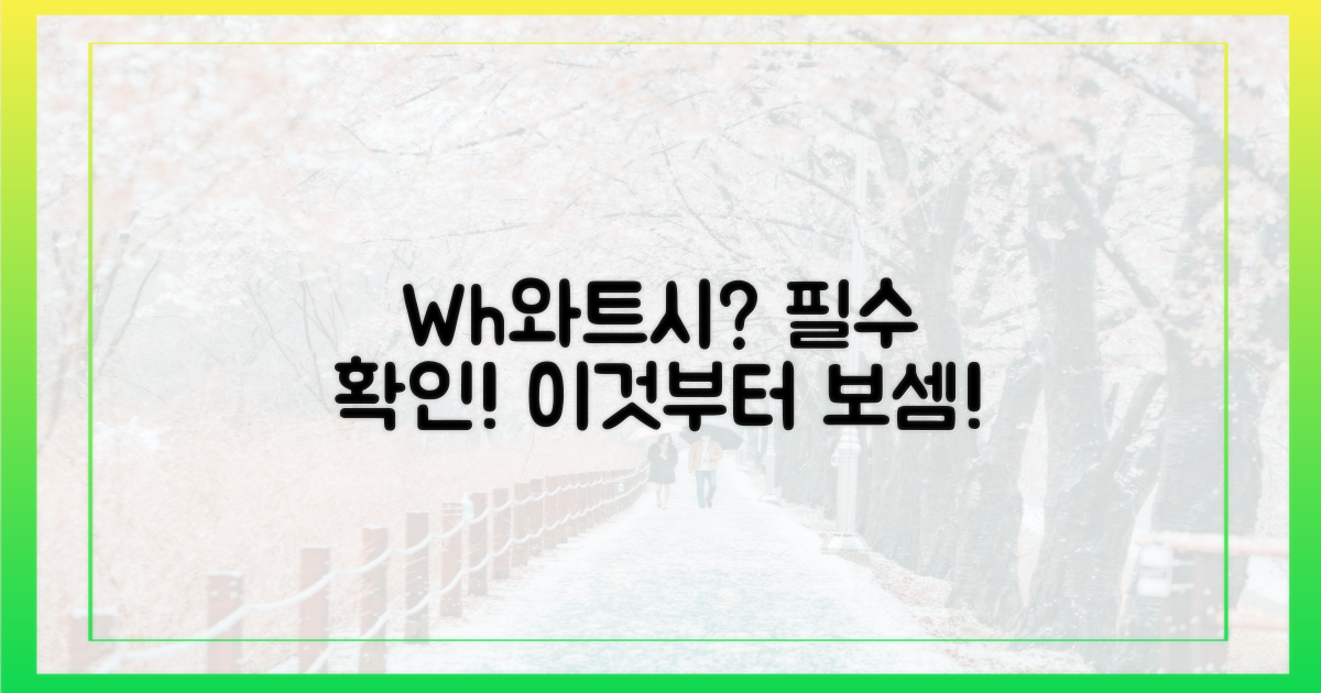 Wh(와트시)를 먼저 확인하세요