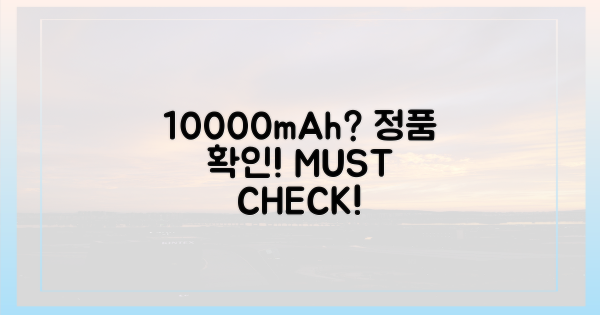 10000mAh 규정 확인하세요!