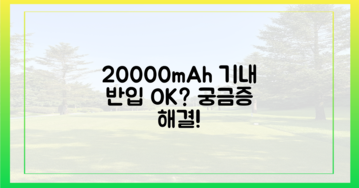 20000mAh, 기내 반입 가능할까?