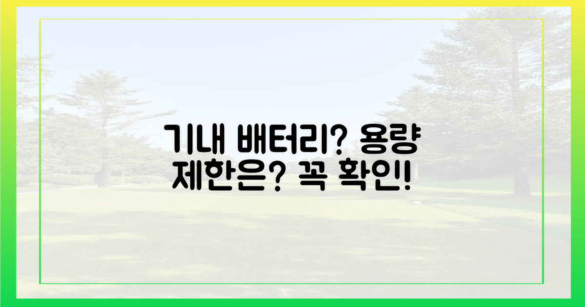 기내 반입 가능한 배터리 용량은?