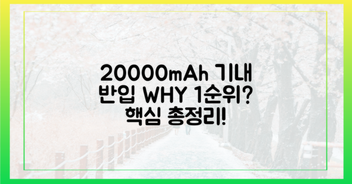 20000mAh, 왜 기내 반입 1순위일까?