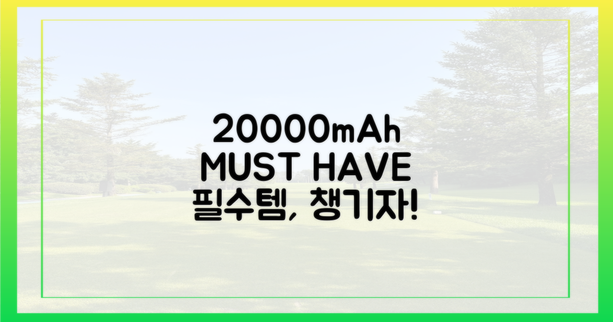 20000mAh, 이것만은 꼭 챙기자!
