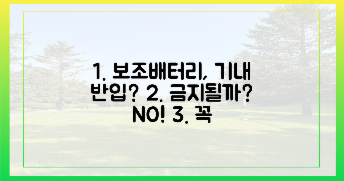보조배터리, 기내 반입 금지될까?