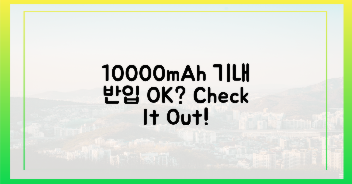 10000mAh 기내 반입 가능 여부 확인하기