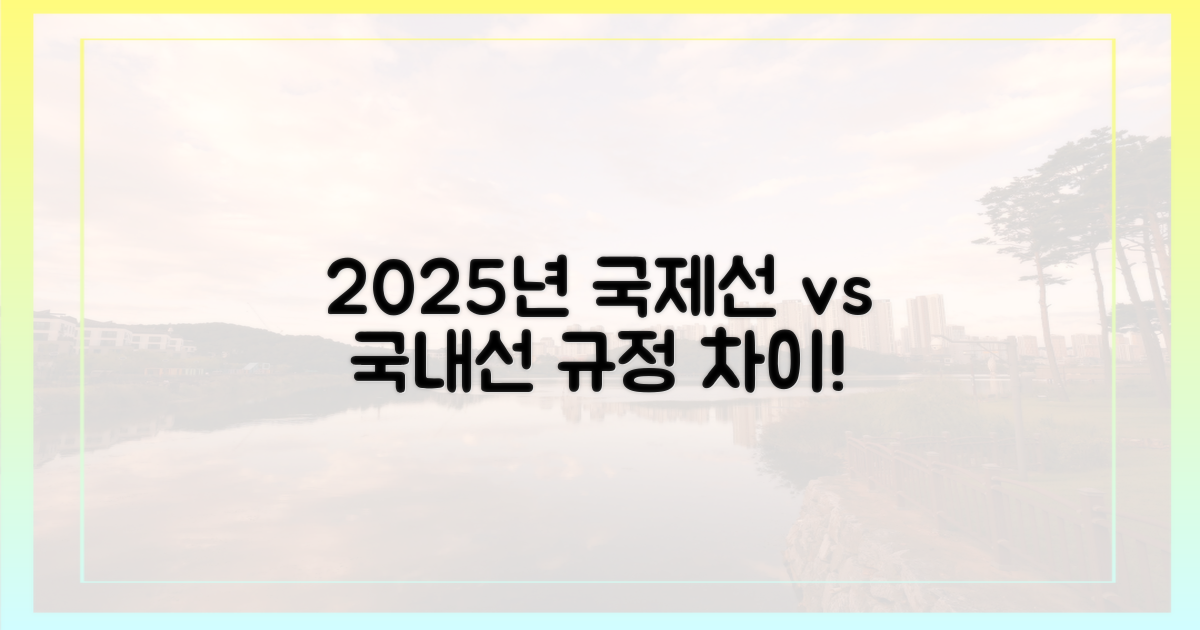 2025년, 국제선/국내선 규정 비교