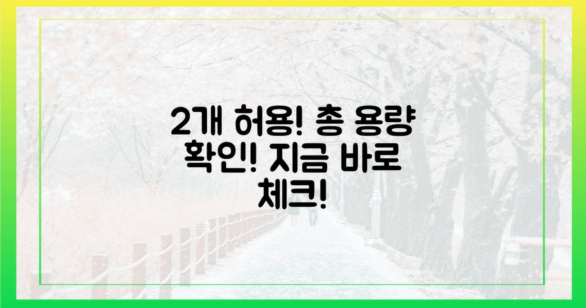 2개까지 허용, 총 용량 확인