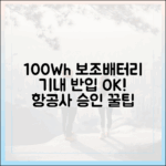 100Wh 초과 보조배터리, 항공사 승인받고 기내 반입하는 방법