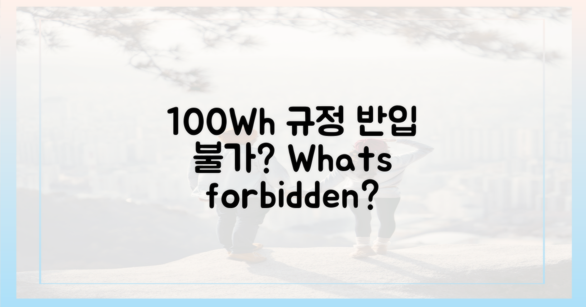 100Wh 넘으면 반입 불가?