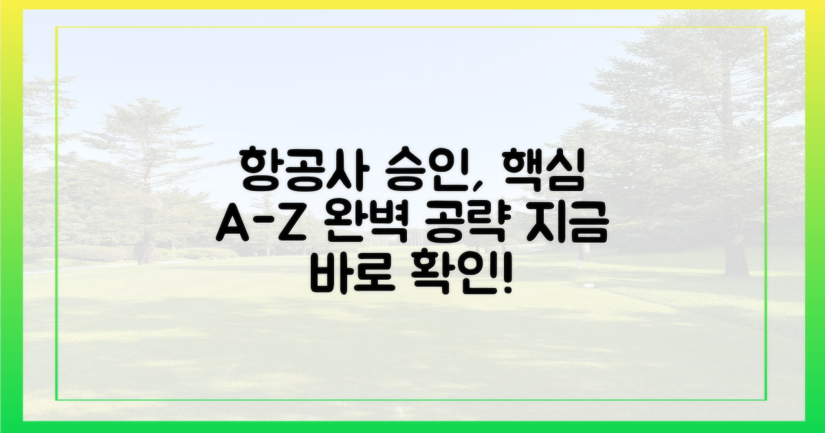 항공사 승인, 어떻게 받을까?
