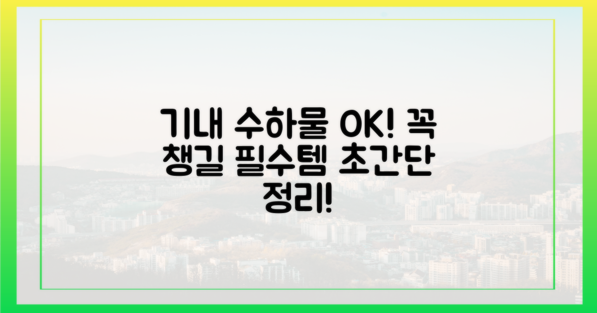 기내 반입, 무엇이 필요할까?