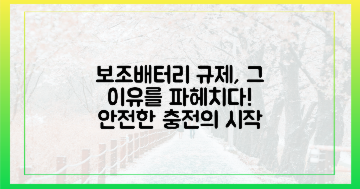 보조배터리, 왜 규정이 필요할까?