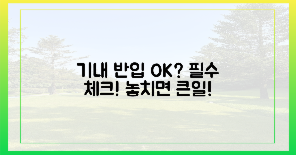 기내 반입 가능 여부, 꼭 체크!