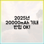 2025년, 20000mAh 보조배터리 기내 반입 규정 이렇게 바뀌었습니다