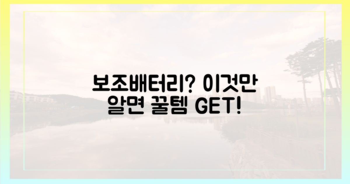올바른 보조배터리 선택 전략!
