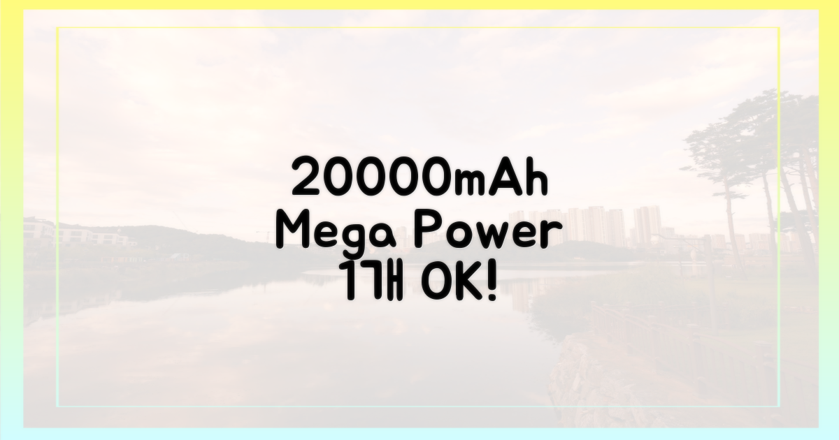 20000mAh, 1개까지 허용