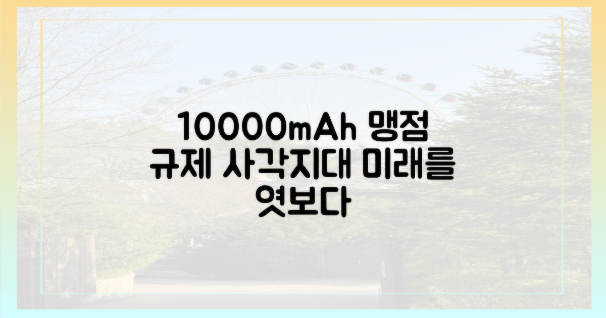 10000mAh, 규제의 맹점