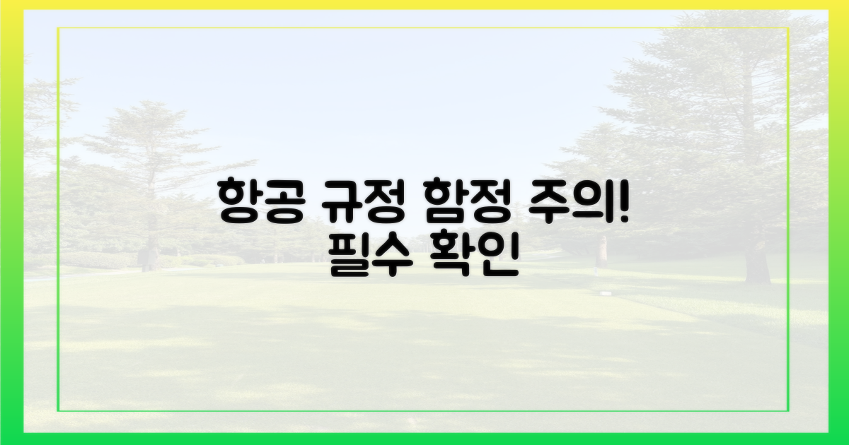 항공 규정, 숨겨진 함정
