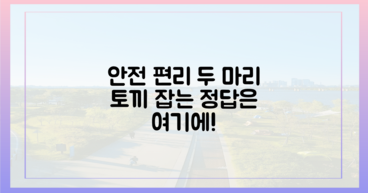안전과 편의, 두 마리 토끼