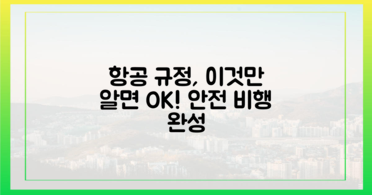 항공 규정, 이것만 알면 문제없다