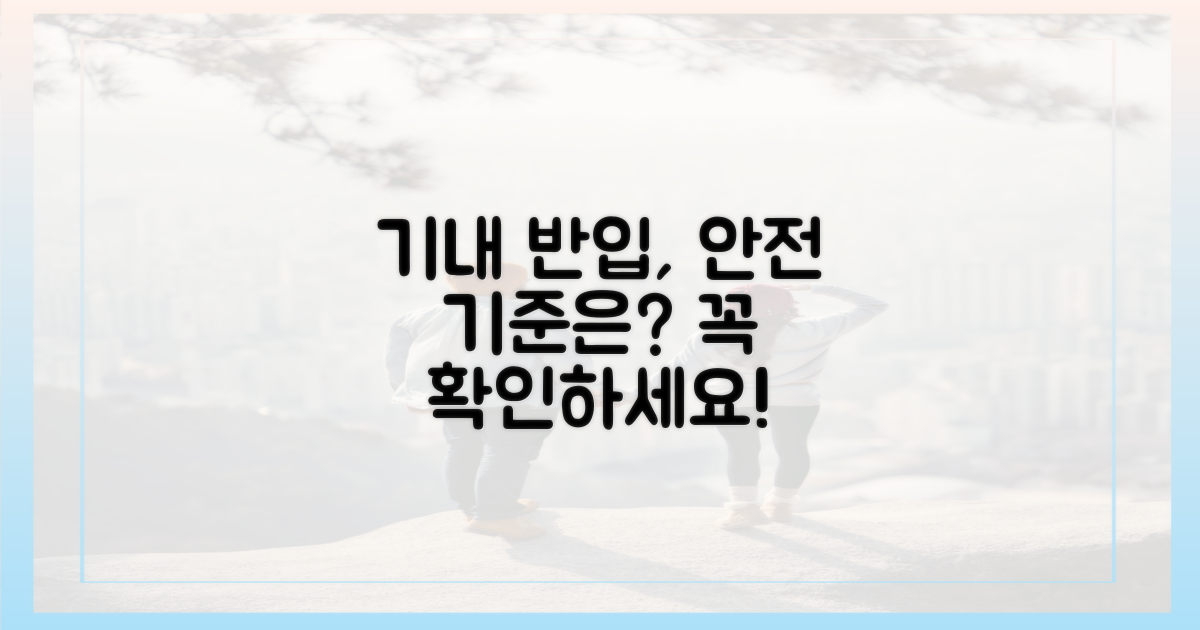 기내 반입, 안전 기준은?
