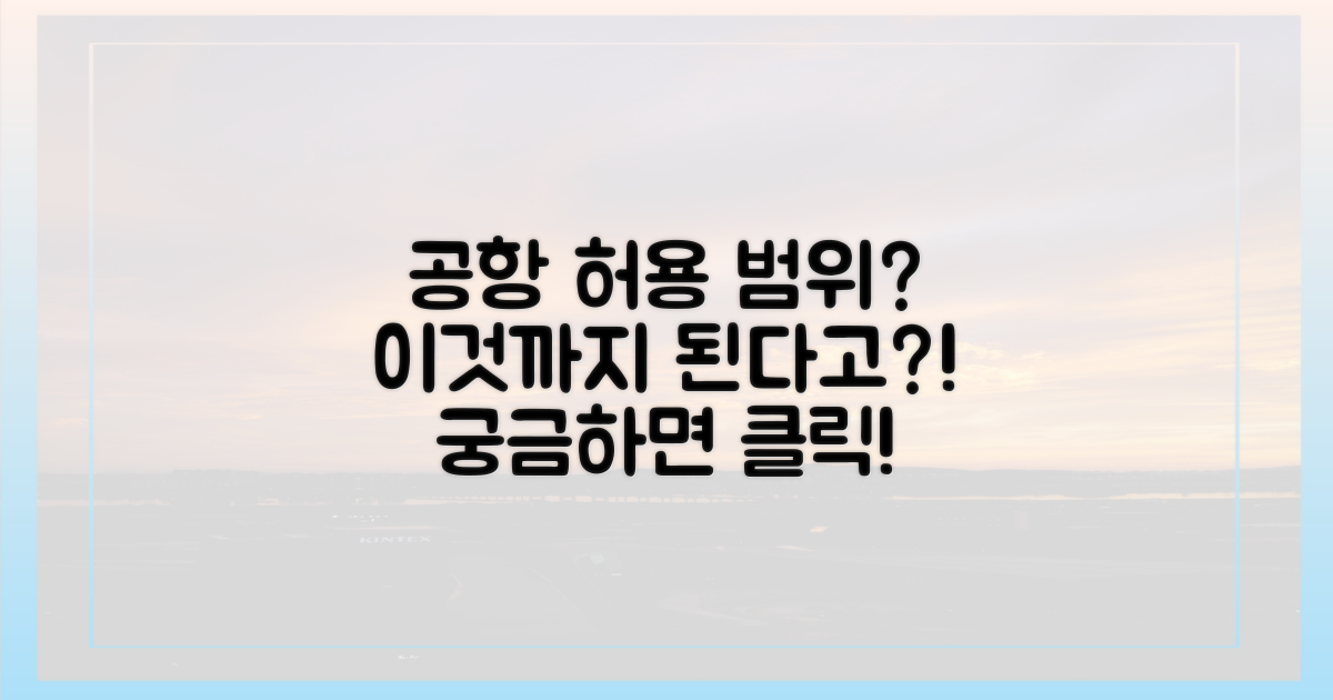 공항, 어디까지 허용될까?