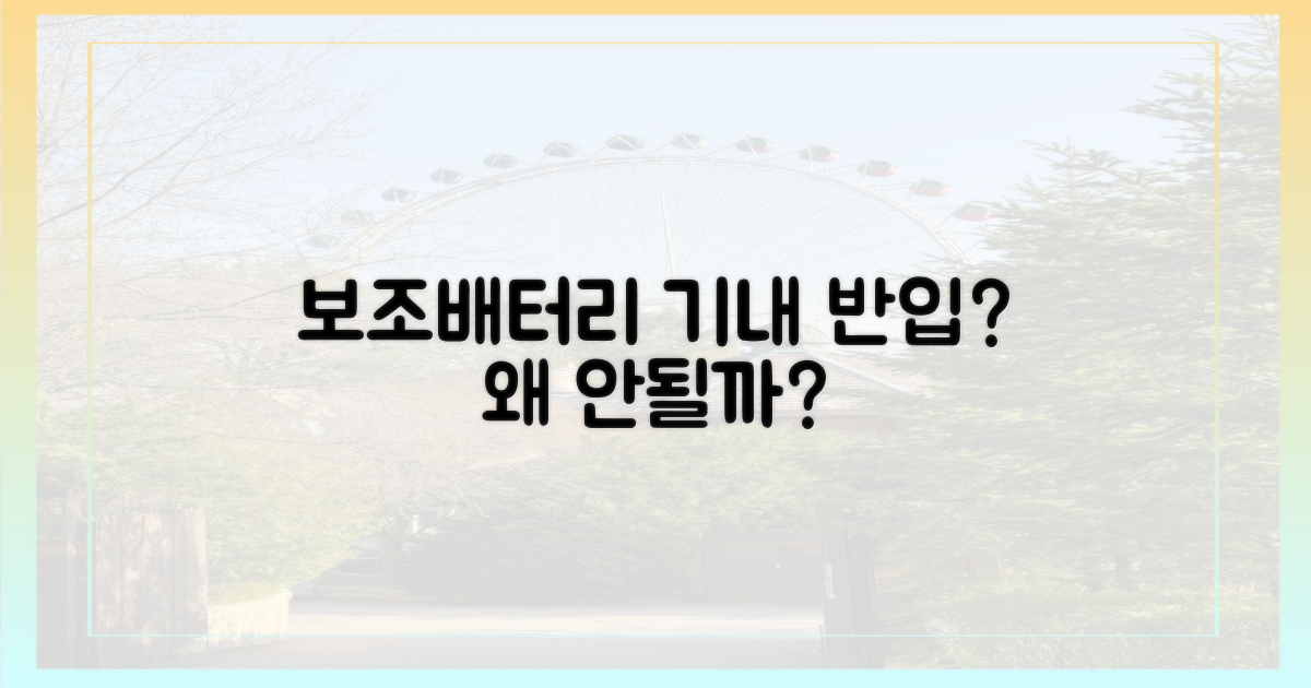 보조배터리, 왜 위탁수하물 안 될까?